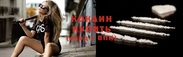 гидра Абаза