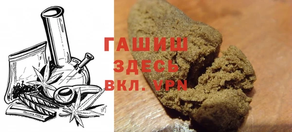 гидра Абаза