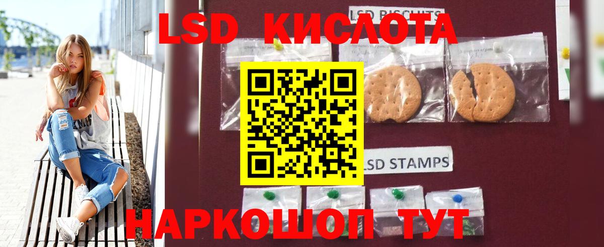 Бошки Шишки Шебекино